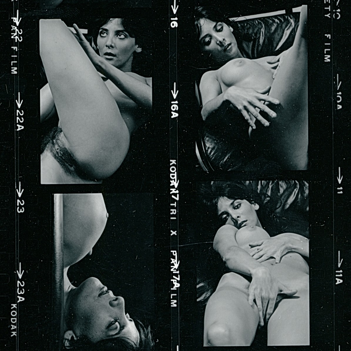 69-009 AMBER